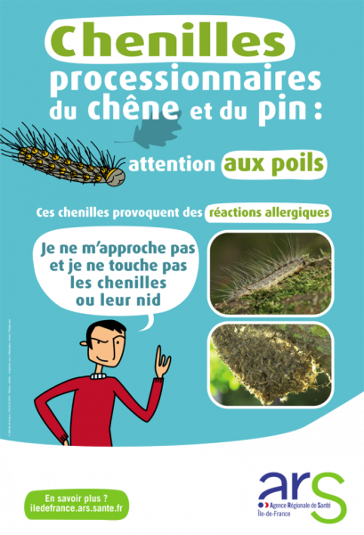Chenilles-processionnaies-affiche-700x1026