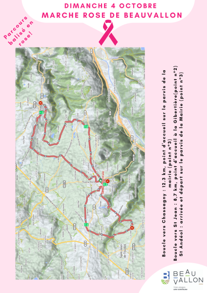 Marche d'Octobre Rose