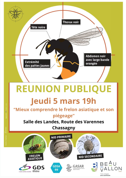 Réunion publique - Frelons 