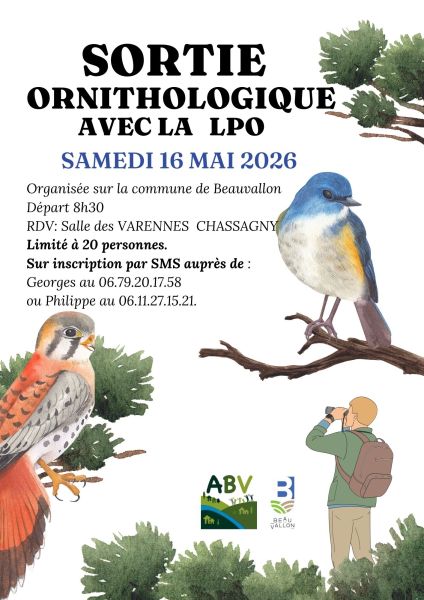 Sortie ornithologique